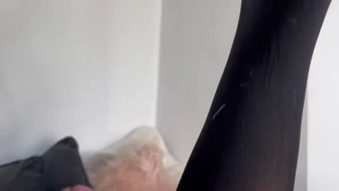 DaisyMay093 – Worship My New Nylons Fuck