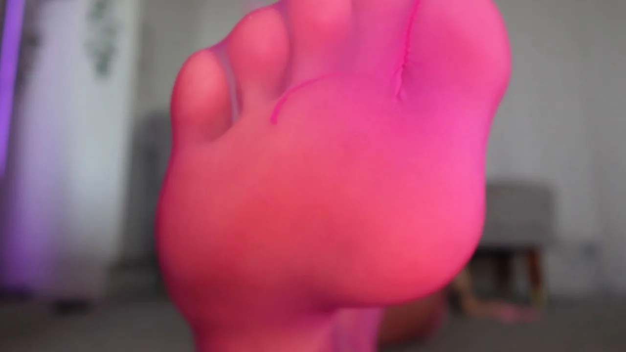 MissesDiscreets – The Shiny Pantyhose Easter Bunny