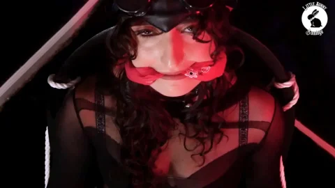 LittleBunnyB – Catwoman Bound and Vibed